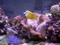 Clams 002.jpg