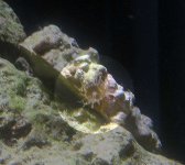 IMG_0083.jpg