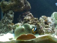 IMG_0159.jpg