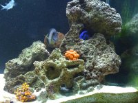 IMG_0158.jpg