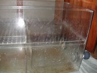 sump2.JPG