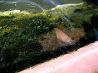 IMG_1562.jpg