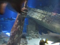 IMG_1223.jpg