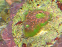 IMG_0794.JPG
