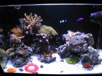 fts copy.jpg