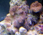 Things Front View.jpg