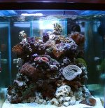 AquariumFULLsmall.jpg