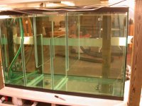 Filling the sump and tank 005.jpg
