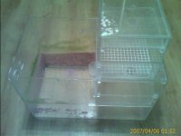 IMAGE_00005.jpg
