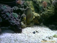IMAGE_00014.jpg