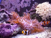 DSCF0158 [50%] [50%].jpg