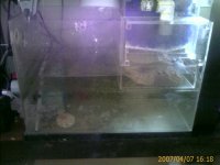 IMAGE_00022.jpg