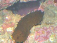 DSCF0002 (Small).jpg