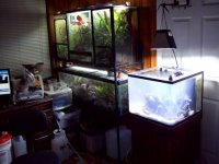 100_1093.JPG
