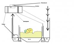 Sump4.jpg