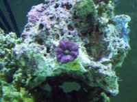 100_08844.JPG