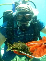 IMG_9460.JPG