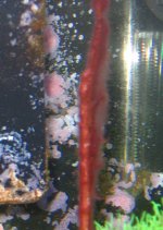 118_1892.JPG