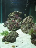 IMG_1075.JPG