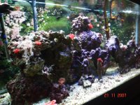 Fish Tank 007.jpg