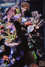 D2X_1089.jpg