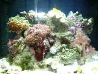 Picture 001.jpg