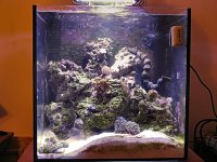 06 02 10 fts2.jpg