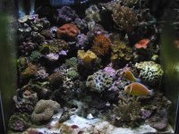 IMG_0923a1.JPG