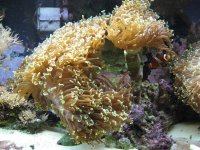 IMG_1090.JPG