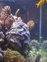 IMG_0213.JPG