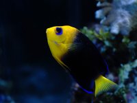 DSC_7838s.jpg