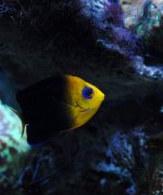 DSC_7830s.jpg