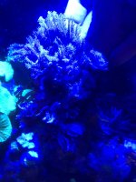 269E39AB-0F1E-4A05-95F6-505DD613A97B.jpeg