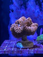 6138E855-E6B7-4D43-8F16-B4F5B597B121.jpeg