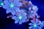 DSC_0573.jpg
