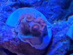 20200715_184958.jpg