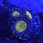 DSC_2741.JPG