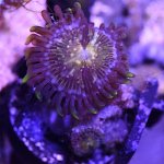 DSC_2782.JPG