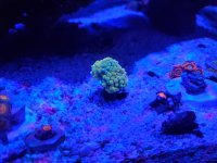 20200812_203619.jpg