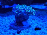 20200917_204159.jpg