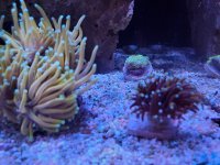 20201027_141151.jpg