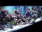 FTS_2.jpg