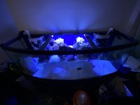 41E66371-D2B1-44FD-AEE5-6CD9052CE3DB.jpeg