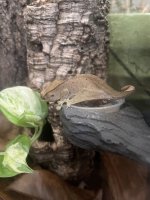 B02F2871-8164-4026-BF90-D7CC3ADDF397.jpeg