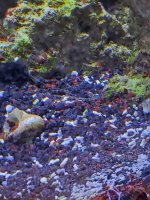 20201215_123456.jpg