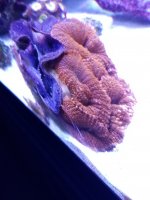 20201217_181413.jpg