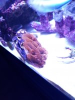 20201217_181409.jpg
