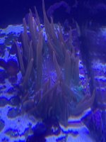 2986FC8E-CF70-4628-A3AD-46E5515BC361.jpeg