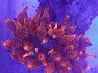 IMG_20210123_165655977.jpg