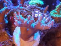 20210130_105604.jpg